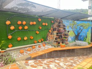 Foto cascada en el Hogar el Recuerdo ubicado en Silvania Cundinamarca